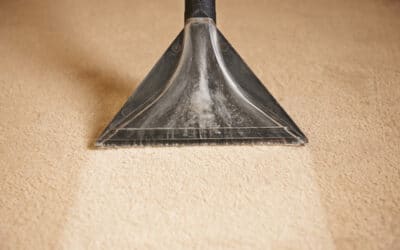 Common Contaminants Found in Your Home’s Carpet