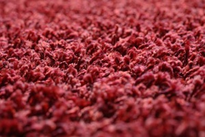 Polypropylene Carpets These fibers are extremely resilient and resistant to stains, mildew, and shedding. Almost as soft as nylon