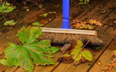 Conquer Autumn Dirt: A Local Expert’s Advice on Carpet, Flooring and Upholstery Cleaning in Your Home